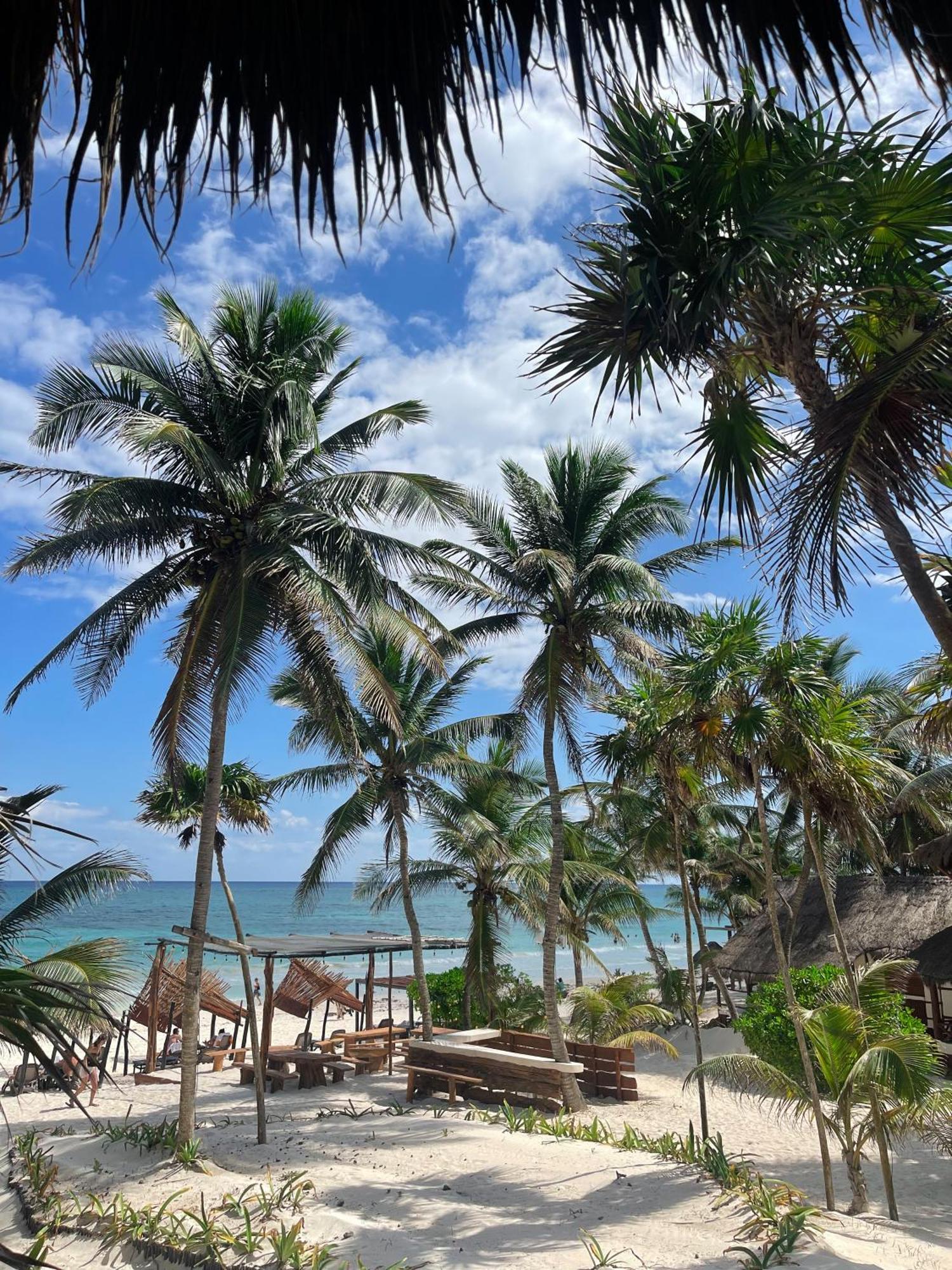 Bt Live Tulum Located At The Party Zone Hotel Exterior photo