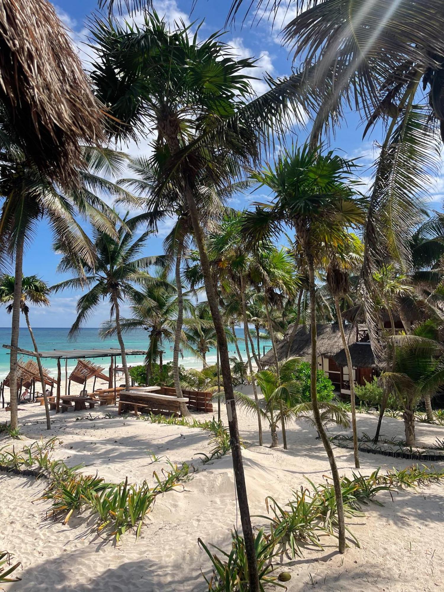 Bt Live Tulum Located At The Party Zone Hotel Exterior photo